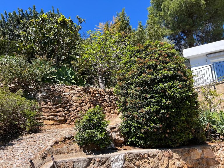 Villa for Sale in Mijas, Malaga 44