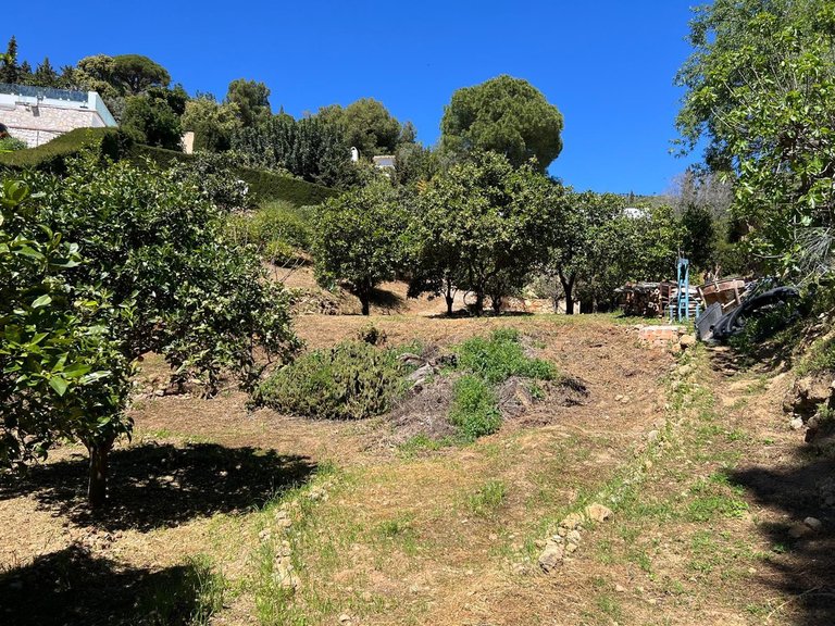 Villa for Sale in Mijas, Malaga 45