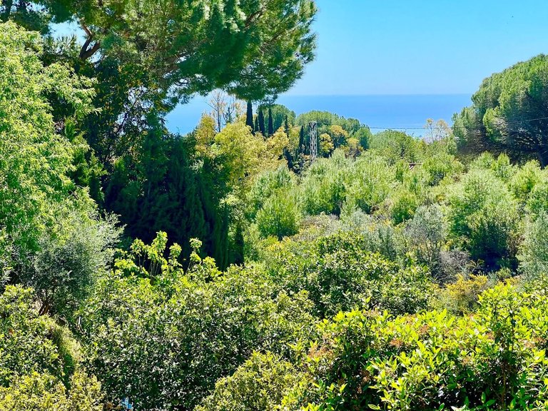 Villa for Sale in Mijas, Malaga 5