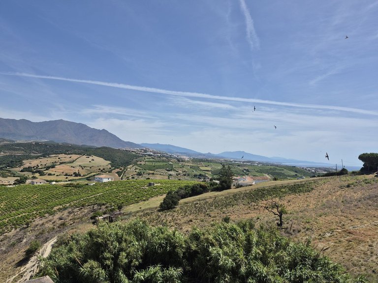 Town House for Sale in Manilva, Malaga 34