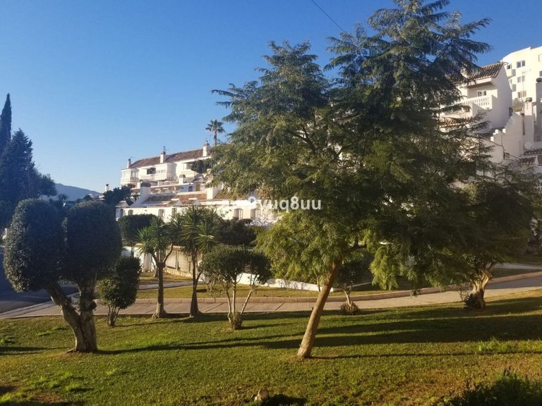 Apartment for Sale in Mijas Golf, Malaga 19