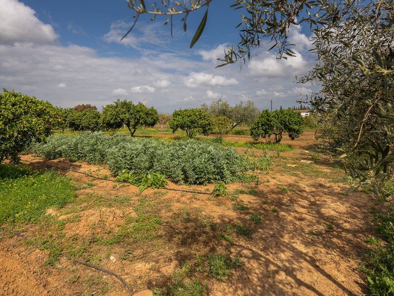 Villa for Sale in Alhaurín El Grande, Malaga 32