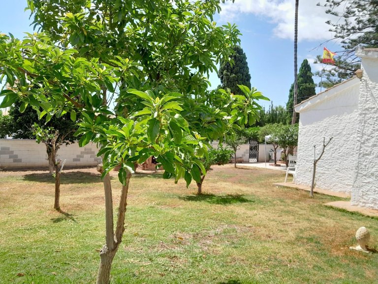 Villa for Sale in Churriana, Malaga 30