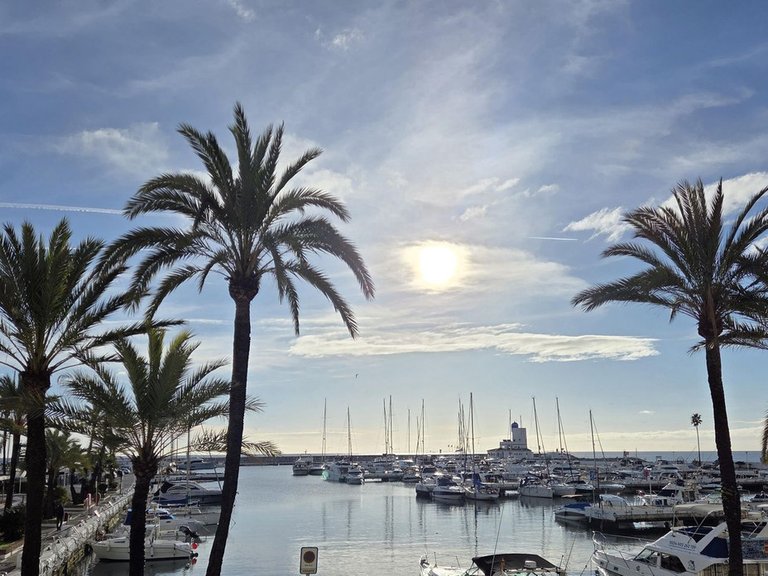 Villa for Sale in La Duquesa, Malaga 11