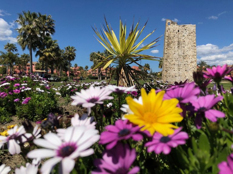 Plot for Sale in Estepona, Malaga 15