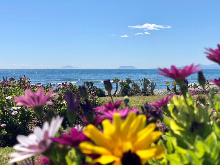 Plot for Sale in Estepona, Malaga 16