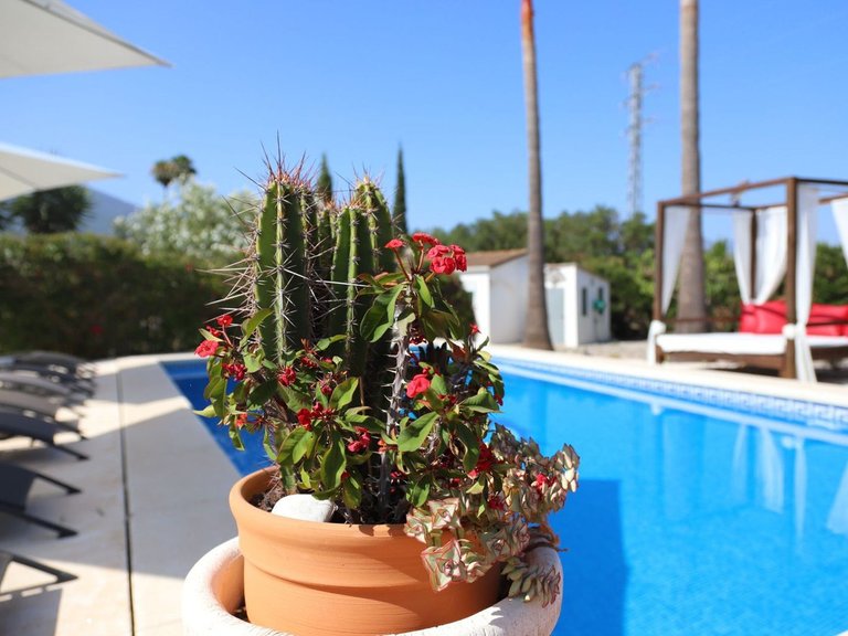 Villa for Sale in Alhaurín El Grande, Malaga 4
