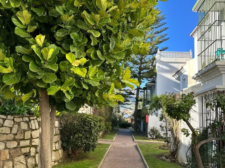Apartment for Sale in Fuengirola, Malaga 24