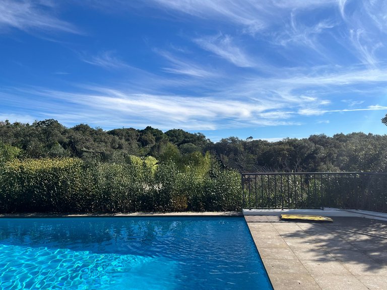 Villa for Sale in Sotogrande, Cadiz 16