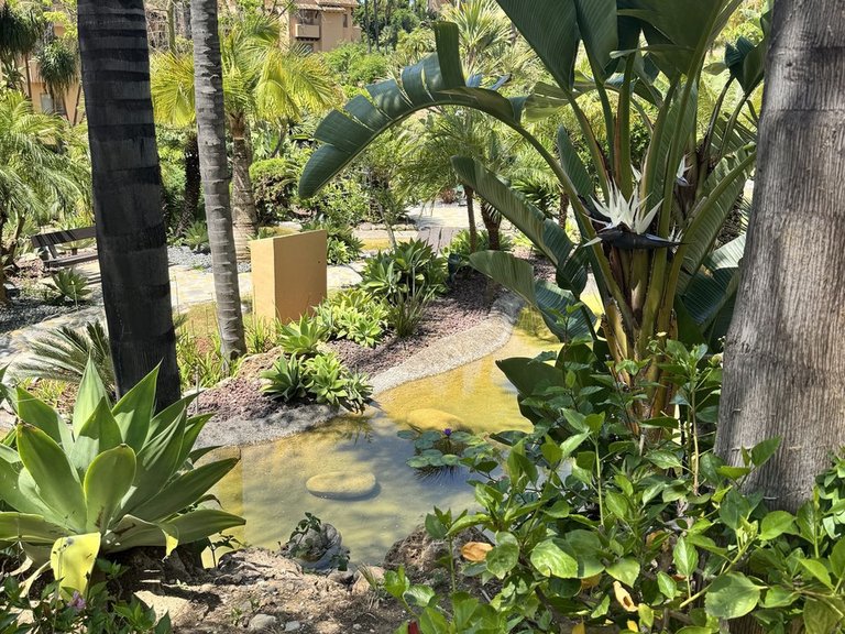 Apartment for Sale in Sierra Blanca, Malaga 16