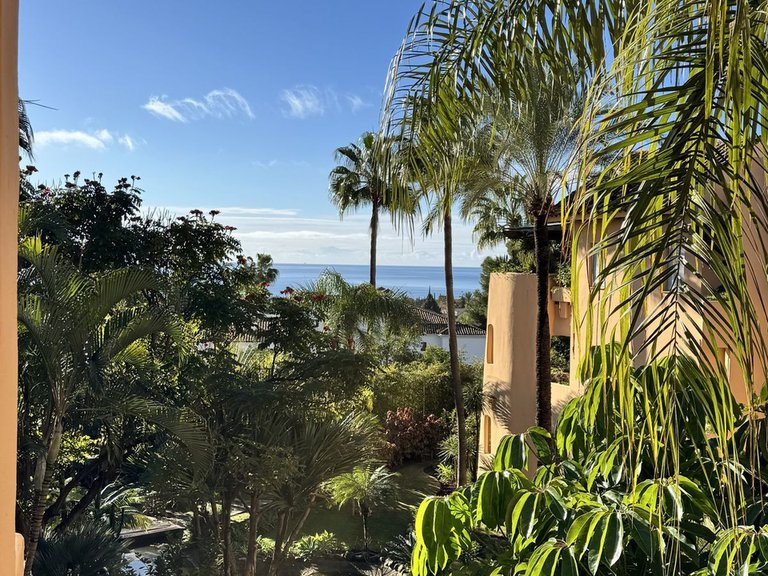 Apartment for Sale in Sierra Blanca, Malaga 20