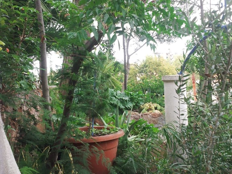 Villa for Sale in Torremolinos, Malaga 11
