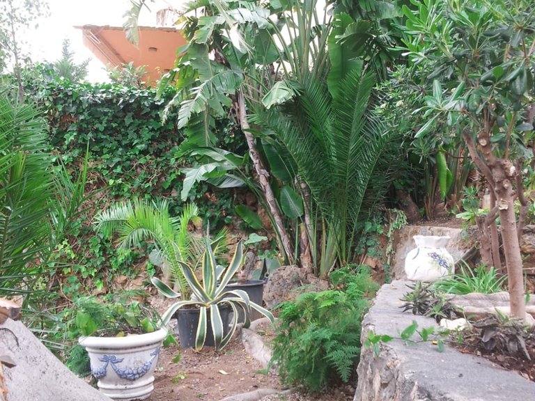 Villa for Sale in Torremolinos, Malaga 12