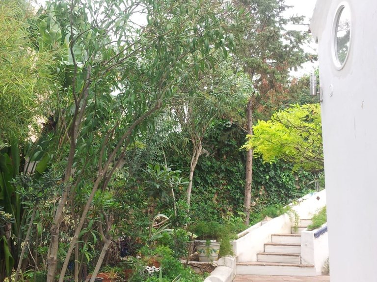 Villa for Sale in Torremolinos, Malaga 13