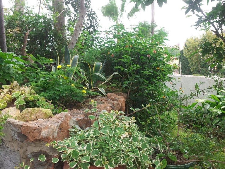 Villa for Sale in Torremolinos, Malaga 14