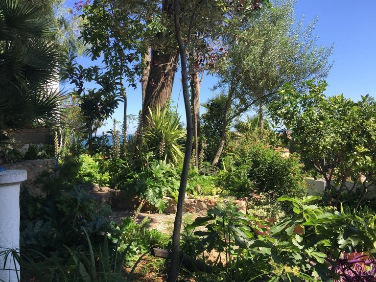 Villa for Sale in Torremolinos, Malaga 4