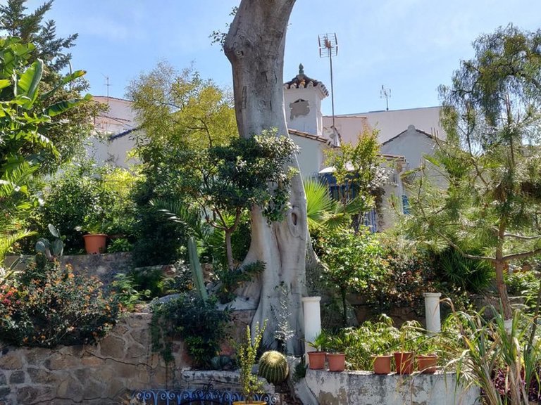 Villa for Sale in Torremolinos, Malaga 8