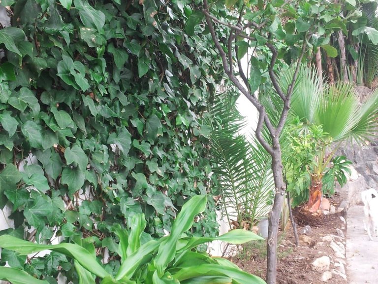 Villa for Sale in Torremolinos, Malaga 9