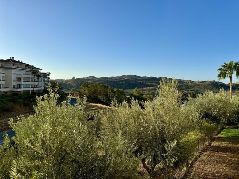 Apartment for Sale in La Cala Hills, Malaga 2