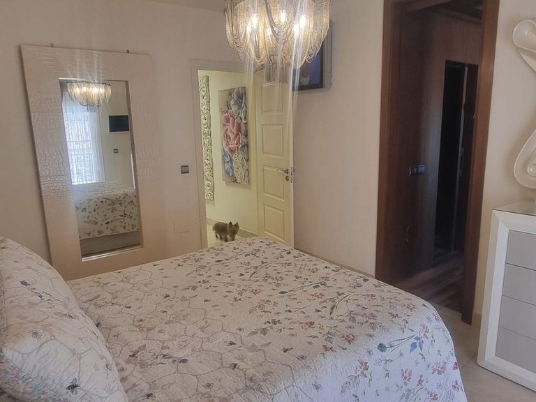 Villa for Sale in Estepona, Malaga 10
