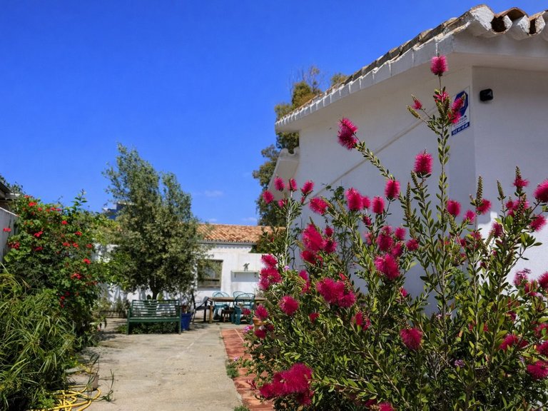 Villa for Sale in Benamara, Malaga 13