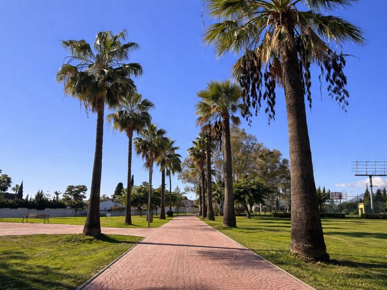 Villa for Sale in Benamara, Malaga 15