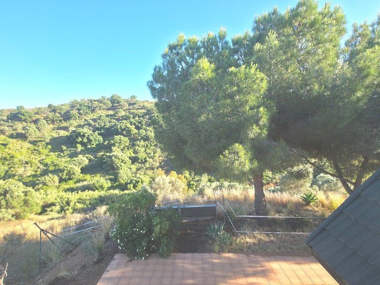 Villa for Sale in Calanova Golf, Malaga 38