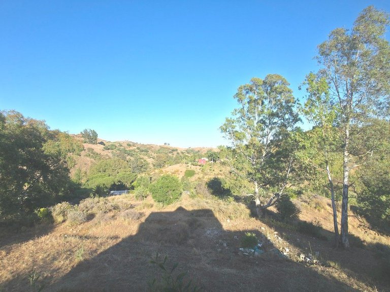 Villa for Sale in Calanova Golf, Malaga 39