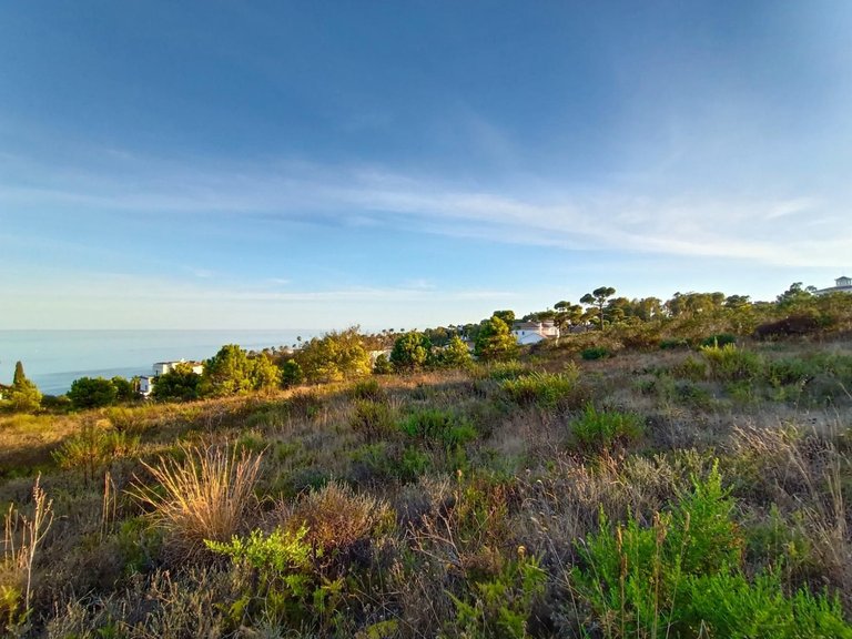 Plot for Sale in Manilva, Malaga 4