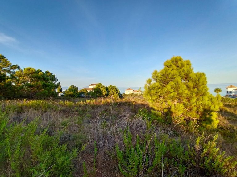 Plot for Sale in Manilva, Malaga 5