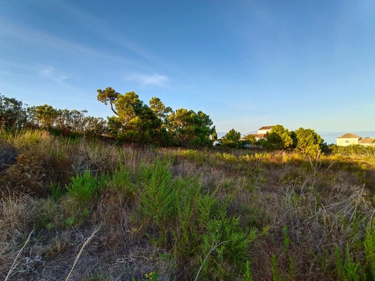 Plot for Sale in Manilva, Malaga 6