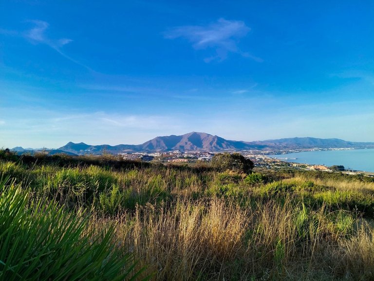Plot for Sale in Manilva, Malaga 8