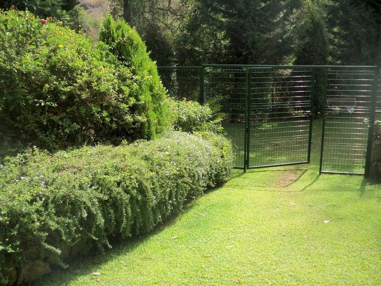 Apartment for Sale in Calahonda, Malaga 11
