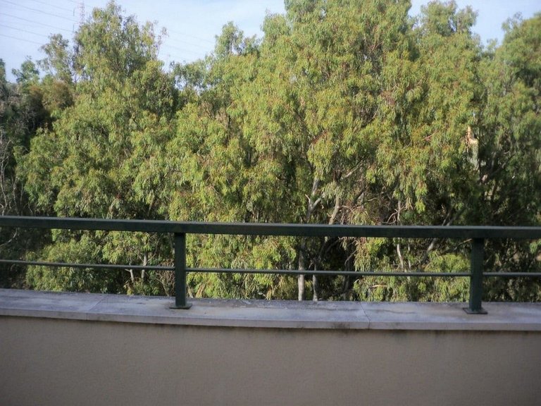 Apartment for Sale in Calahonda, Malaga 15