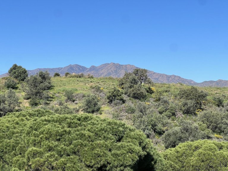 Apartment for Sale in La Cala Hills, Malaga 29