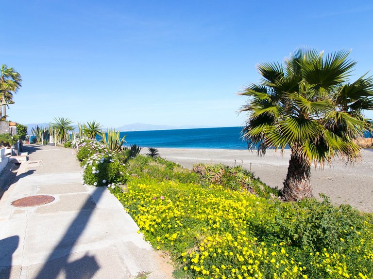 Villa for Sale in Manilva, Malaga 51