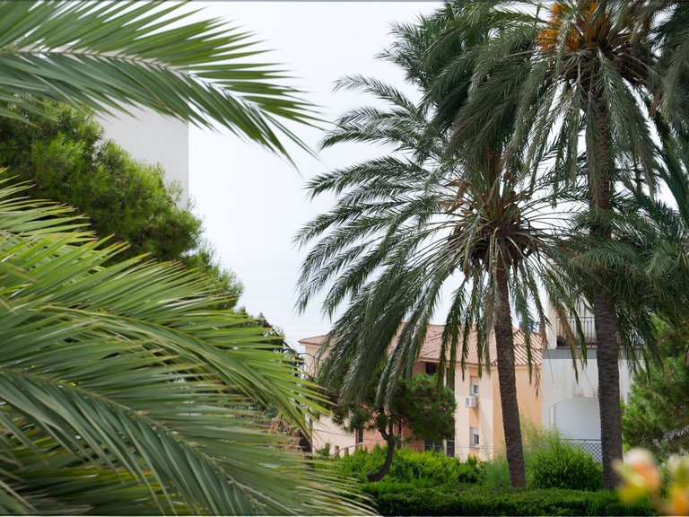 Apartment for Sale in Costa del Sol, Benalmadena Costa, Malaga 19
