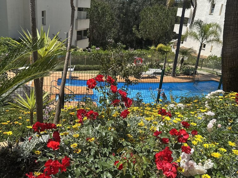 Apartment for Sale in Elviria, Malaga 23