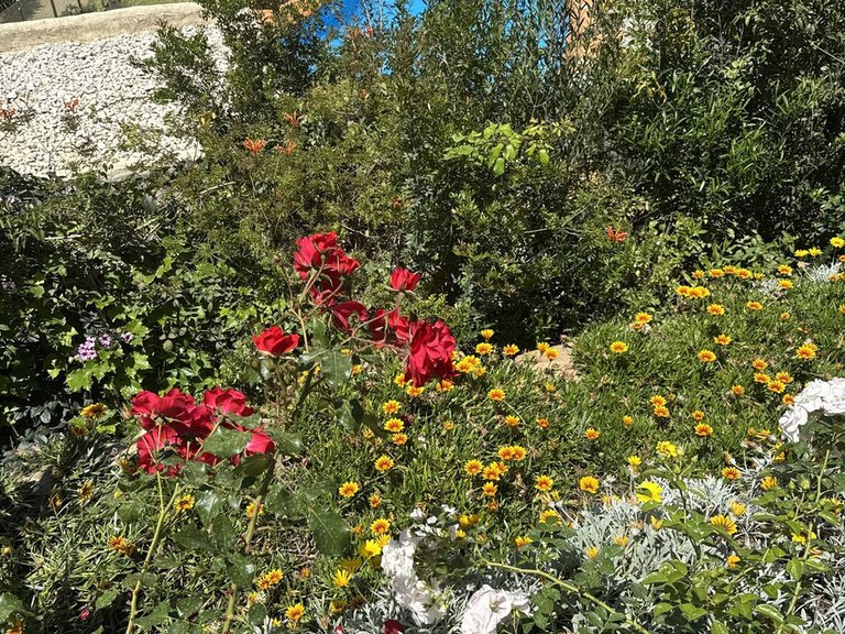 Apartment for Sale in Elviria, Malaga 25