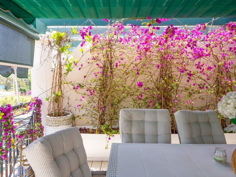 Apartment for Sale in Nueva Andalucía, Malaga 28