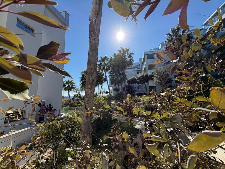 Apartment for Sale in Mijas Costa, Malaga 24