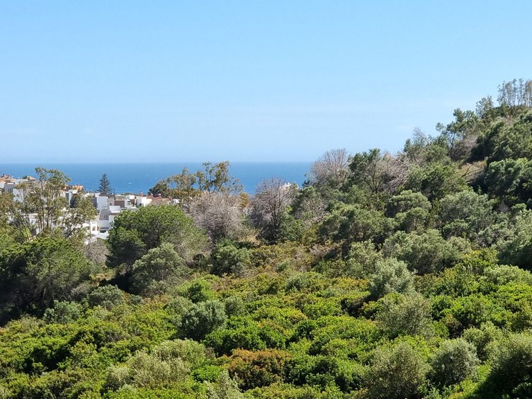 Apartment for Sale in Reserva De Marbella, Malaga 16