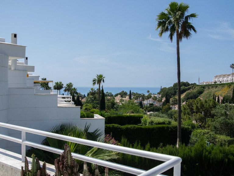 Villa for Sale in Calahonda, Malaga 45