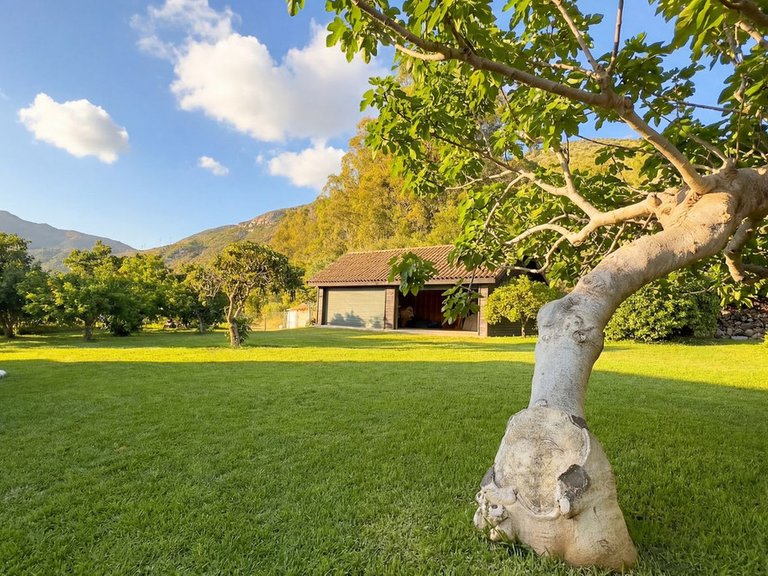 Villa for Sale in Alhaurín El Grande, Malaga 36