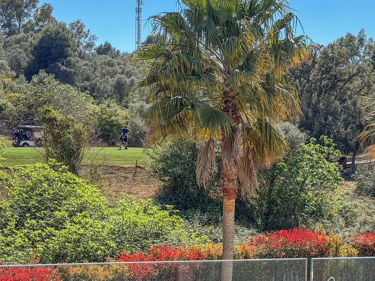 Apartment for Sale in La Cala Golf, Malaga 23