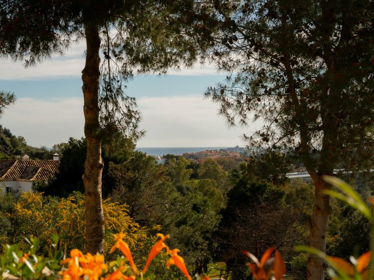 Apartment for Sale in Benahavís, Malaga 26