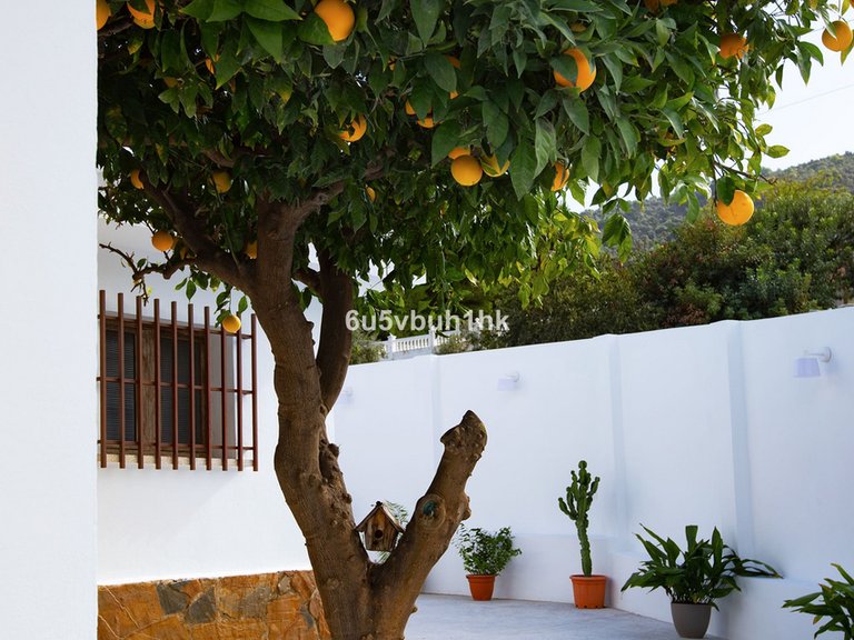 Villa for Sale in Alhaurín De La Torre, Malaga 48