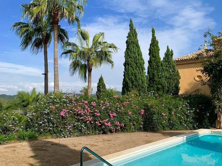 Villa for Sale in Sotogrande, Cadiz 2