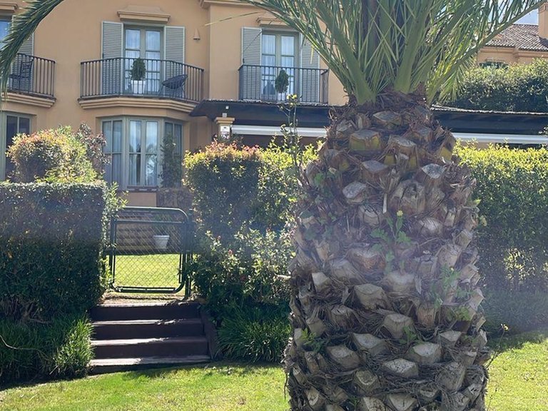 Villa for Sale in Sotogrande, Cadiz 4