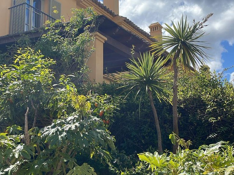 Villa for Sale in Sotogrande, Cadiz 5